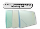 DATA BANK CFC/12 12格F4透明磨砂風琴袋