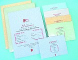羊皮紋紙 / 淺粉紅 No.8423 L-Pink A4 / 100g / 80Sheet