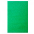 230g A4雙面皮紋釘裝咭紙 綠色
