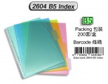 DATA BANK 2604 B5 26孔膠質顏色索引分類(4級)